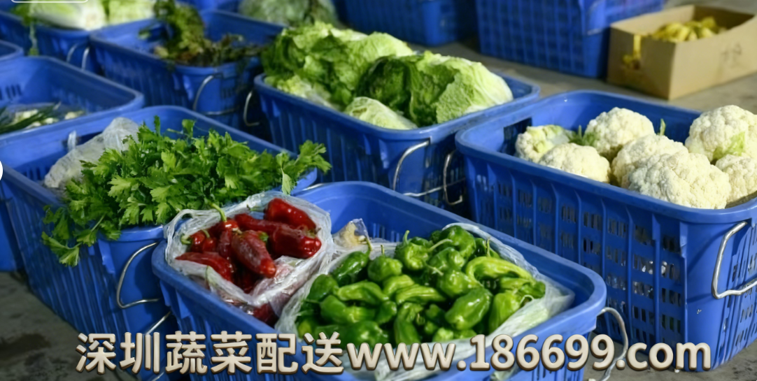 深圳食堂蔬菜配送為何選擇佳惠鮮蔬菜配送中心？