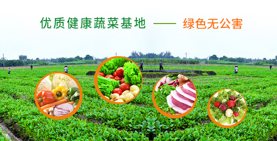 正規的蔬菜配送公司流程是怎樣的