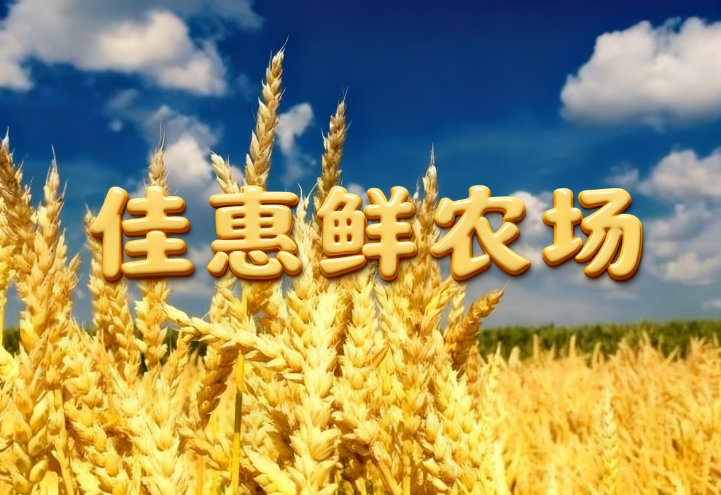 蔬菜配送中心?資訊播報：秋汛攔路！冬小麥播種仍破八成