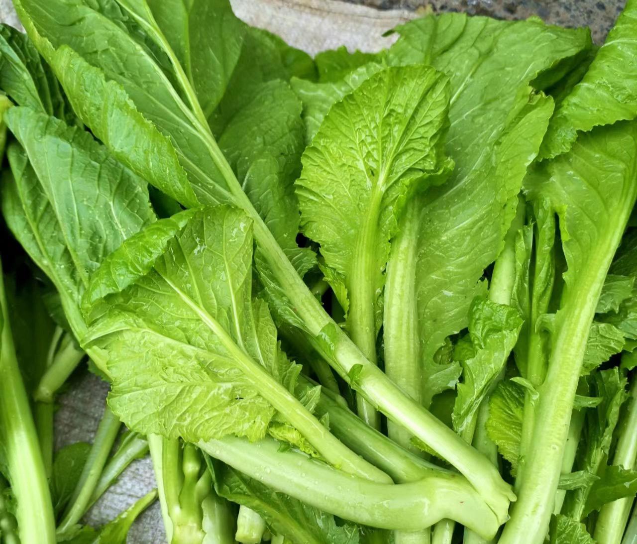 深圳蔬菜配送公司科普：為什么冷凍蔬菜不宜反復(fù)解凍冷凍？